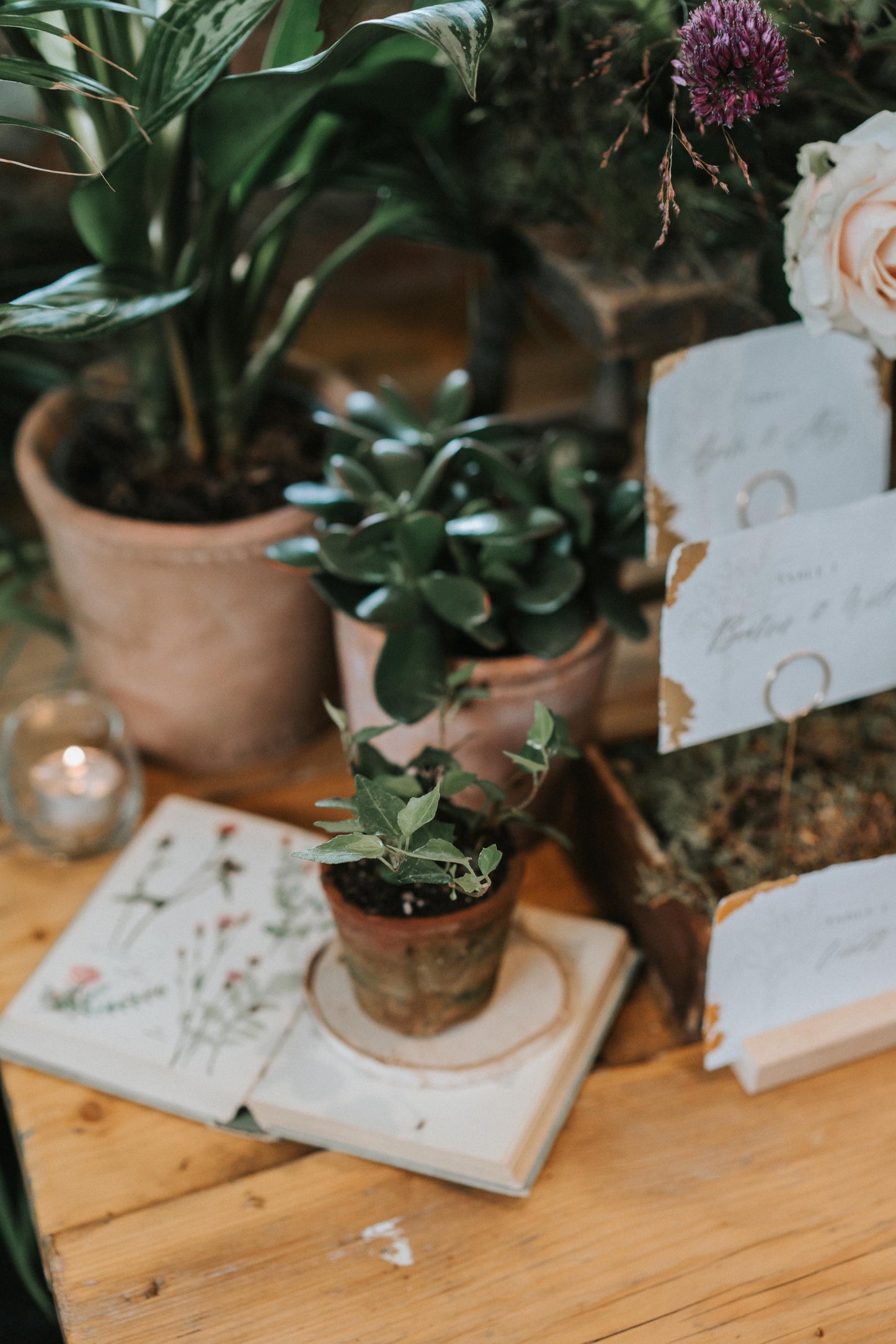 Escort Card Style Seating Plan Display